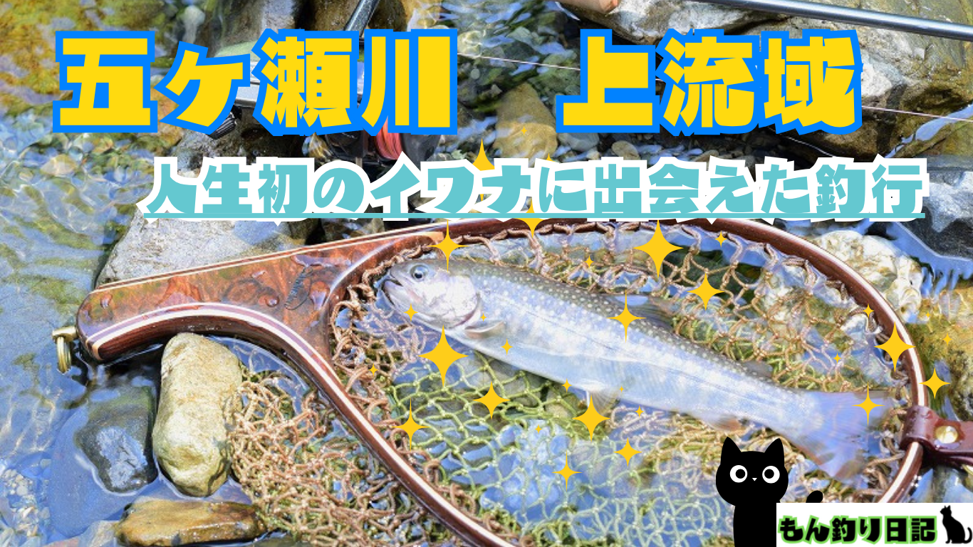 渓流釣りブログ】五ヶ瀬川上流の渓流ルアーゲーム ヤマメ狙いの最中に