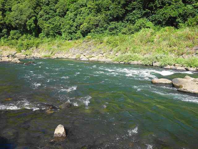大野川の急流の画像