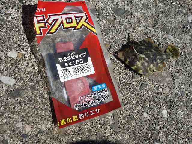 ハイブリッドクロスとカワハギ